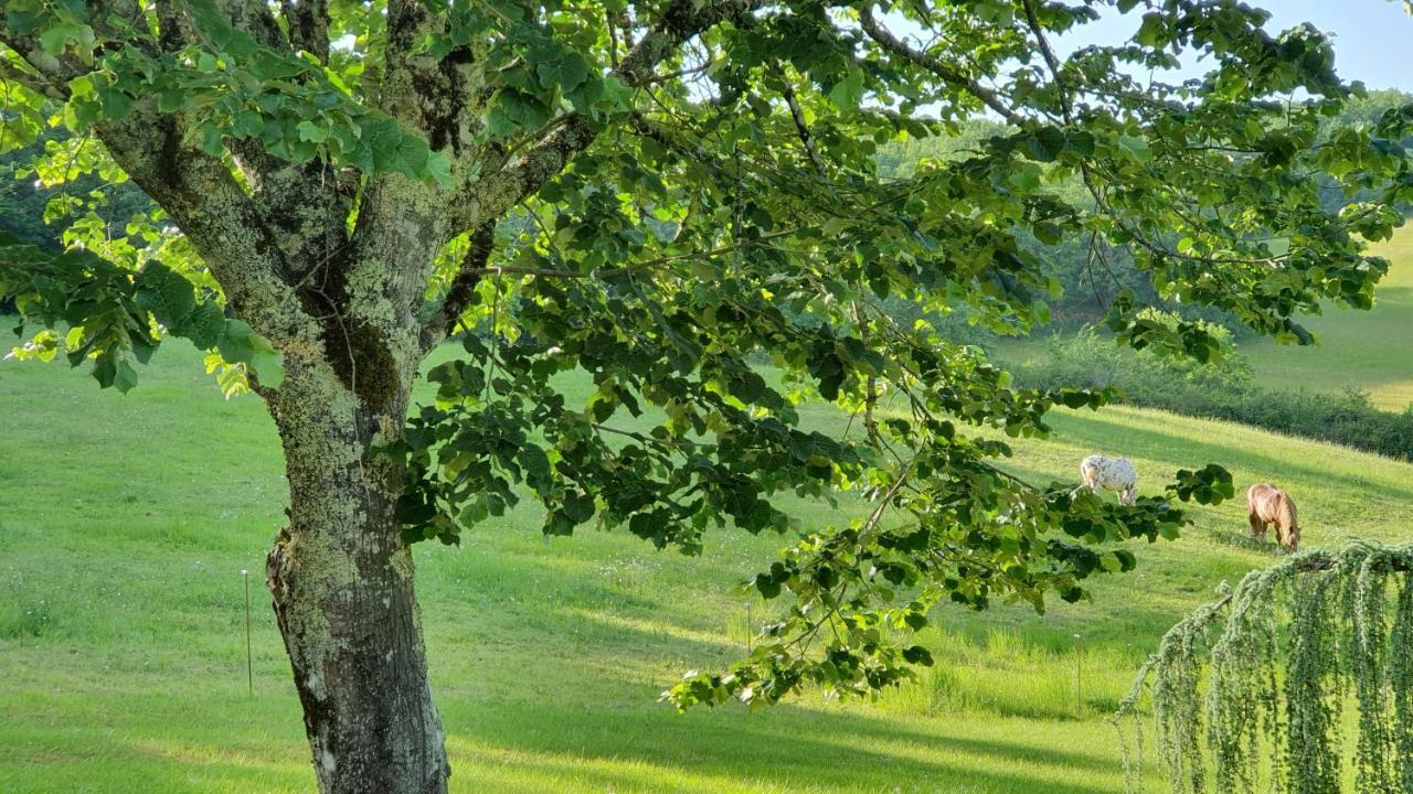 Domaine Du Cardou Hotel Puy-l'Eveque ภายนอก รูปภาพ